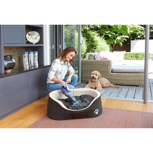 BLACKDECKER DVB315JP handheld vacuum used to clean dog bed indoors, with dog resting nearby.
